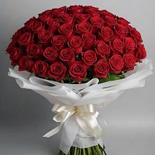 Букет 101 Красная роза Блэк Мэджик в Бобровский