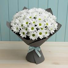 Букет цветов из:  Хризантемы #REPLACE_PRED# Бобровский