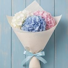 Букет цветов из:  Гортензия #REPLACE_PRED# Бобровский