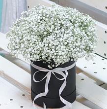Цветочная композиция из Гипсофила в шляпной коробке #REPLACE_PRED# Бобровский