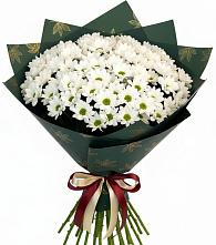 Букет цветов из:  Хризантемы #REPLACE_PRED# Бобровский