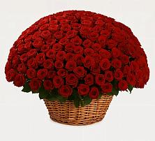 Премиум букет из: Розы в Бобровский