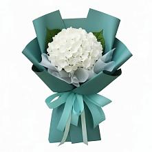 Букет цветов из:  Гортензия в Бобровский